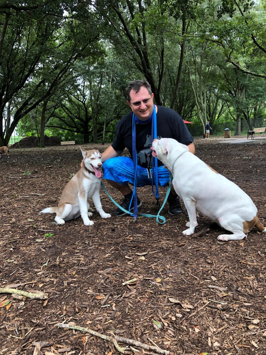 Emerson com dois cães sentados no parque, no meio da distração